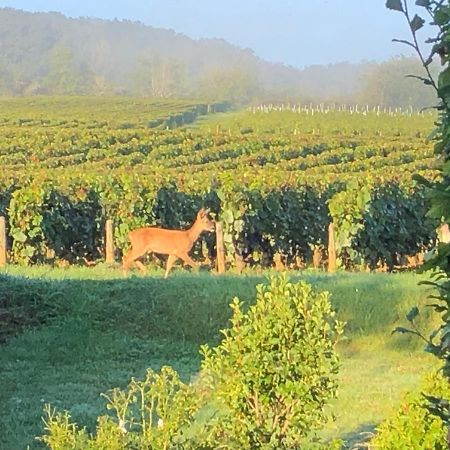 Apartmán Avre De Paix Sancerrois Thauvenay Exteriér fotografie