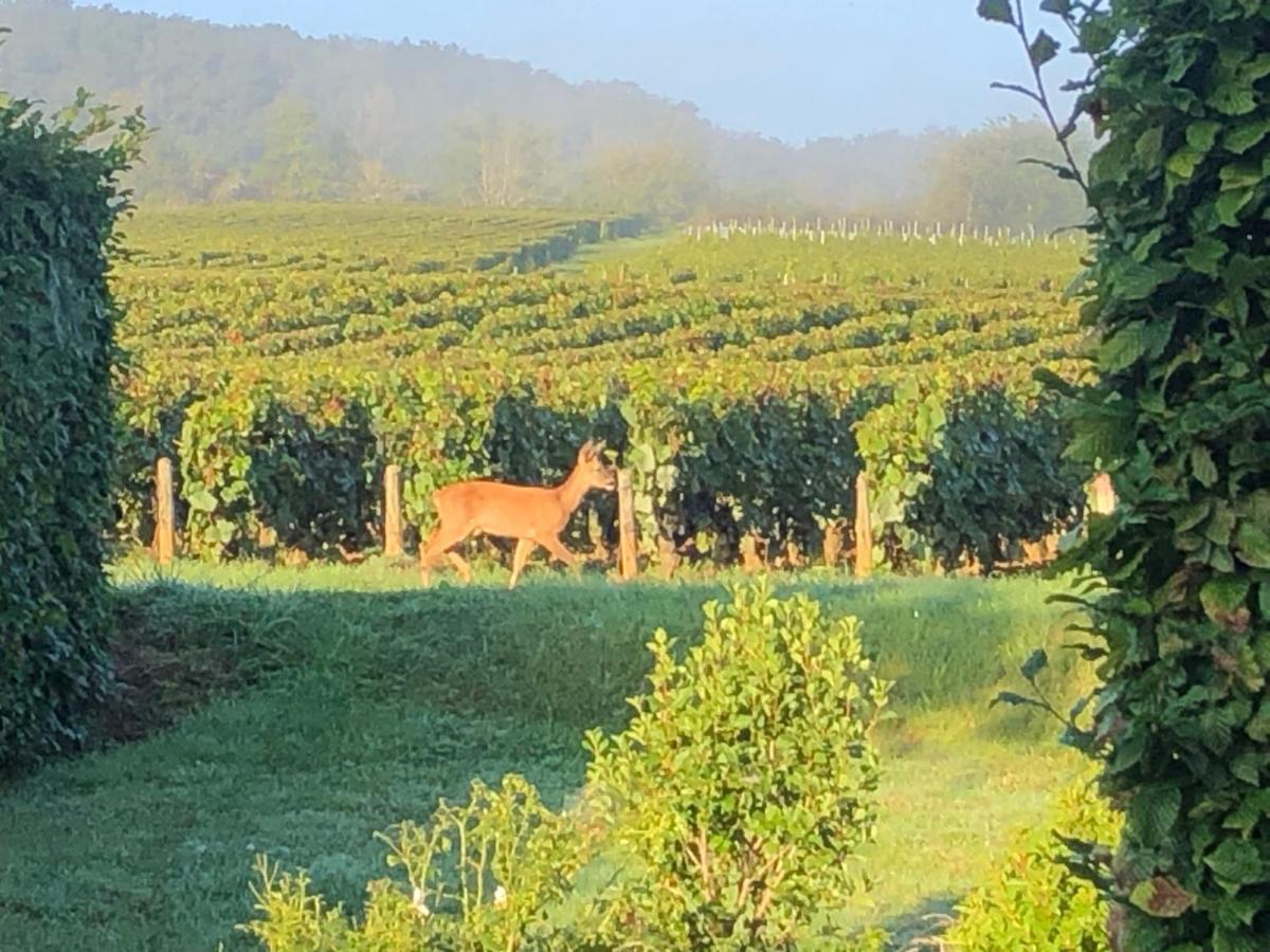 Apartmán Avre De Paix Sancerrois Thauvenay Exteriér fotografie